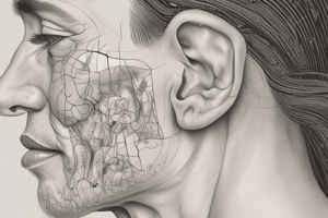 Conditions of the External Ear Quiz