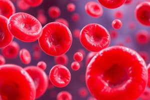 Hematopoiesis: Proses dan Lokasi