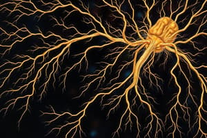 Enteric Nervous System Quiz