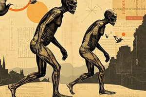 Myths and Milestones in Human Evolution