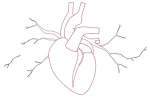 Gittata Cardiaca: Regolazione e Importanza Fisiologica (Fisiologia 105)