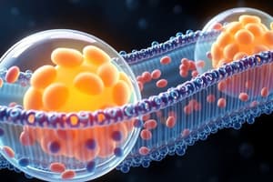 Cell Membrane Structure and Function Quiz