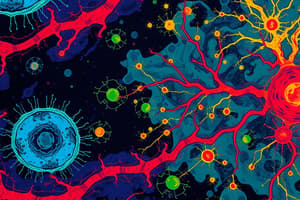 Glial Cells and Blood-Brain Barrier Overview