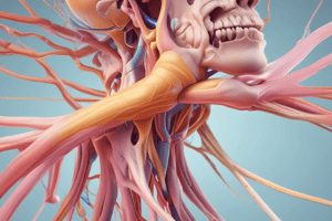 Peripheral Nerve Palsy + Stiff shoulder unresolving