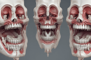 Tooth Development and Morphology