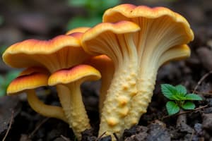 Fungi: Structure and Reproduction