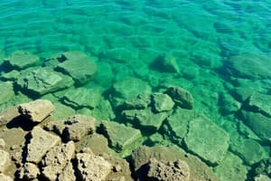 Águas Minerais Naturais em Portugal