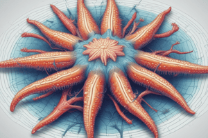 Echinoderms and Their Characteristics Quiz