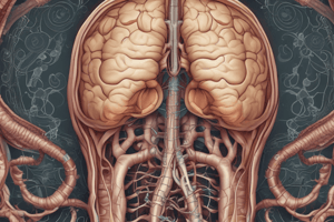 Digestive System Functions and Processes