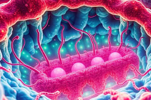 Cell Biology: Endomembrane System & ER