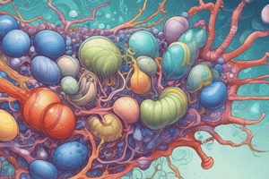 Cell Membrane Structure & Function Quiz