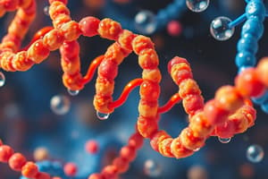 Macromolecules: Carbohydrates, Lipids, and Nucleic Acids