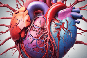 Cardiac Anatomy: Coronary Sinus Pathway and Branches Quiz