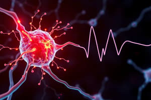 Neuroscience Action Potential Chapter 4