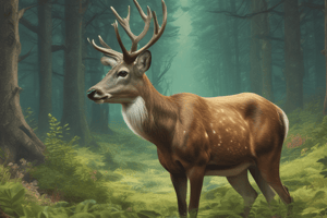 Deer Biology and Characteristics