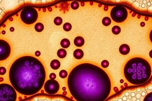 Histology and Cell Membrane Overview