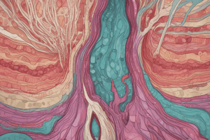 Epithelial Tissue Characteristics