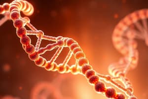 DNA Structure and Chargaff’s Rules