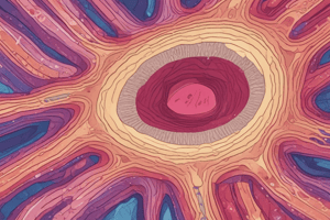 Biology: Glandular Tissue