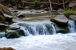 Étapes du cycle de l'eau