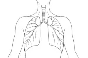 Respirazione e Regolazione 10° Classe (Fisiologia 52)