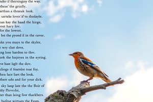 Poetry Analysis: Wordsworth's To The Skylark