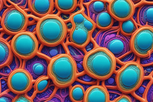 Cell Structure and Function Quiz