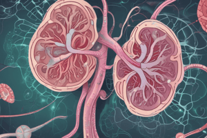 Glomérulonéphrites Aiguës Post-Infectieuses