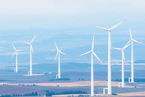 Wind Energy and Turbines Quiz