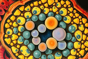 Cell Biology: Organelles and Functions