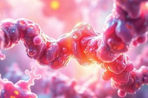 Proteoglycans and O-Glycosidic Bonds