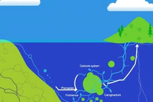 The Carbonate System Overview