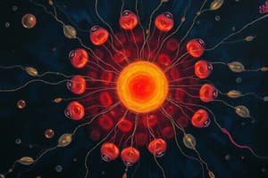 Cell Biology: Organelles and Structures