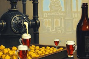 Beer Production and Countries Quiz