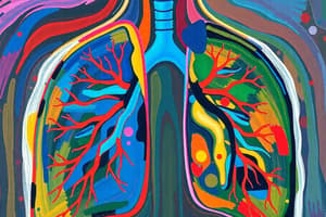 Respiratory System Overview Quiz