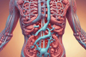 Digestion and Absorption of Carbohydrates and Proteins