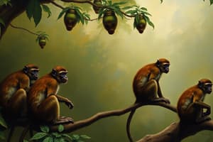 Monkeys: Habitats and Types