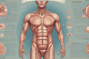 Hernia Risk Factors and Types