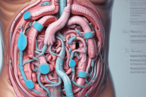 Colon Anatomy: Understanding the Structure and Functions