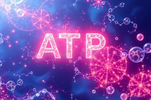 ATP: Energy Currency of the Cell