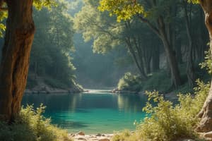 Screenplay Format: Scene Headings and Basic Structure