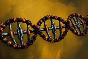 DNA Replication Overview