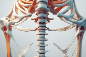 skeleton