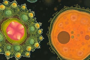 Cell Structure Overview Quiz