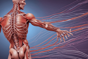 Muscle Physiology Lecture: Lecture 4 Excitation coupling/walk along