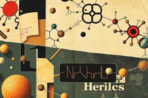 Enzyme Reactions in Drug Metabolism