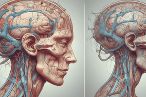 Neuroscience Fundamentals