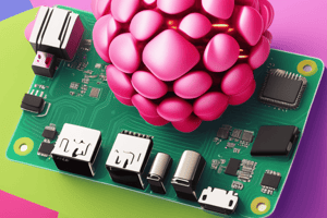 Raspberry Pi OS File System Exploration Quiz