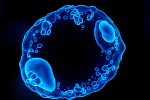 Cell Cycle and Mitosis Quiz