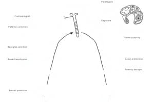 Introduction to Pathophysiology